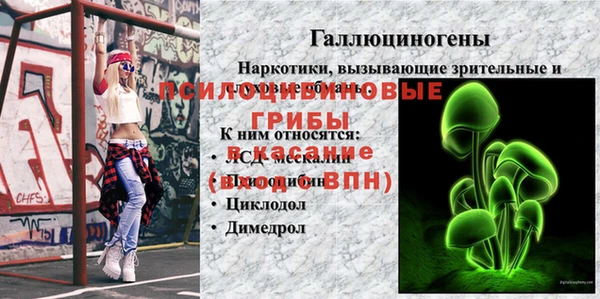 винт Бугульма