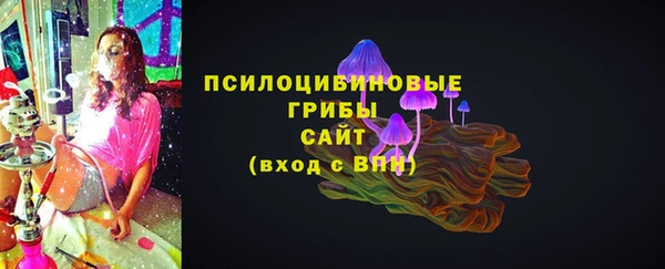 хмурый Богородск