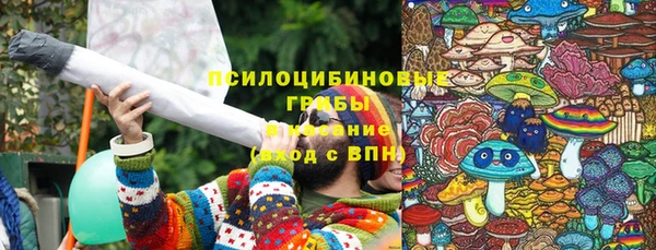 дживик Богородицк
