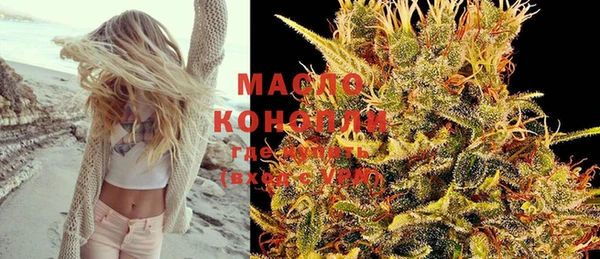 дживик Богородицк