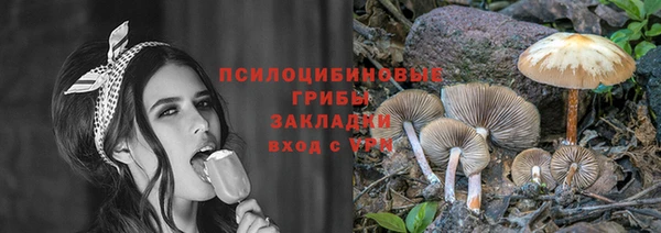 дживик Богородицк