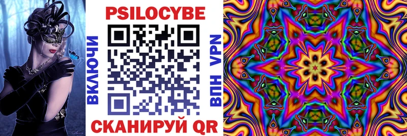 Псилоцибиновые грибы ЛСД  мега онион  Михайлов 
