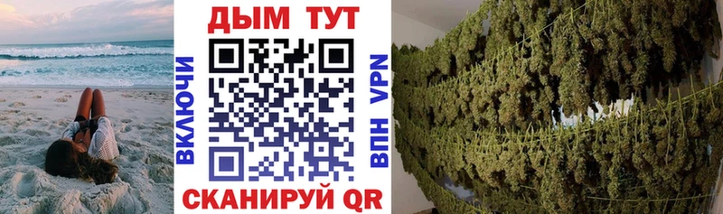 Каннабис ГИДРОПОН  Михайлов 